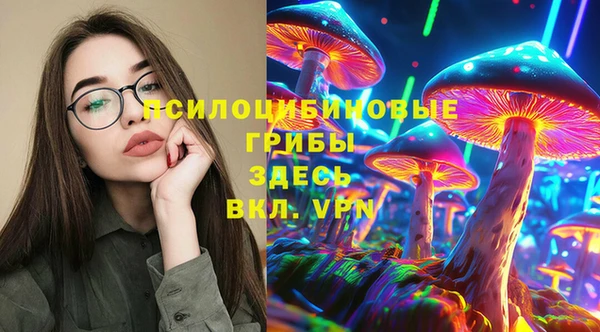 a pvp Арсеньев