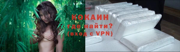 спайс Аркадак