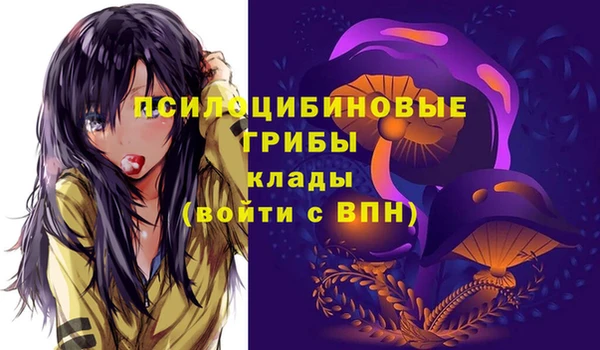 a pvp Арсеньев