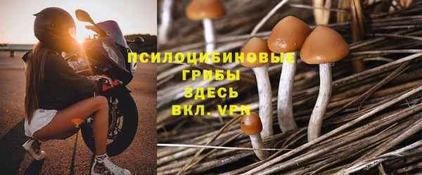 a pvp Арсеньев