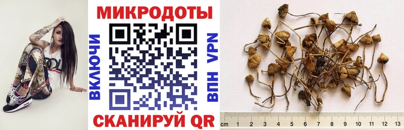 продажа наркотиков  Первомайск  Галлюциногенные грибы Cubensis 
